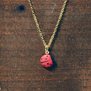 Ladybug Necklace and Earrings